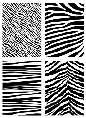 Zebra pattern clipart