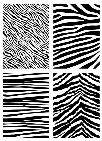 Padrão de zebra — Vetor de Stock