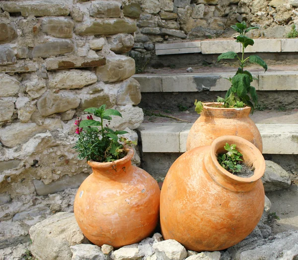 stock image Three old amphoras