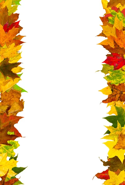 Bingkai daun musim gugur — Stok Foto