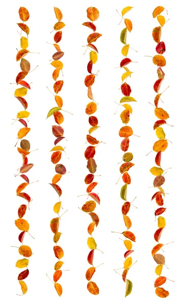 Panel of autumn leaves — Stock Photo, Image