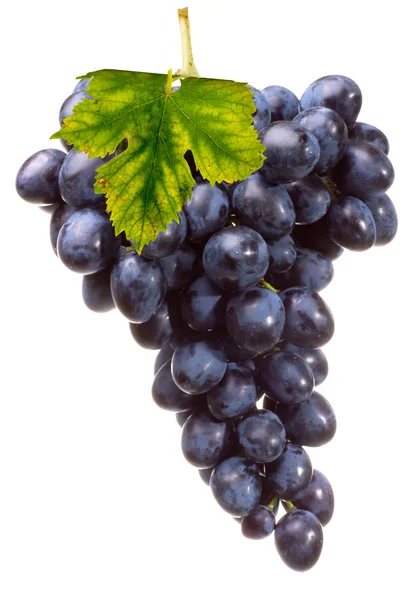 Bunch grape with leaf — Stock Photo, Image