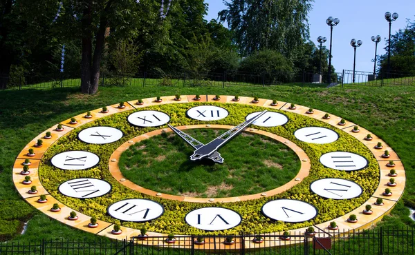 stock image Flower clock