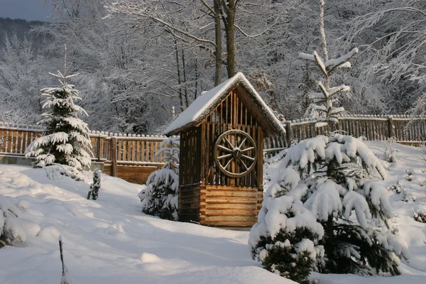 Дрібничка в зимовому саду — стокове фото