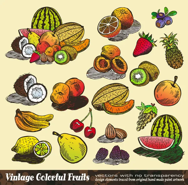 Vintage Colorful Fruits Collection — Stock Vector
