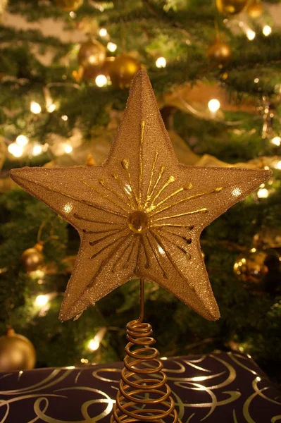 Рождественская звезда — стоковое фото