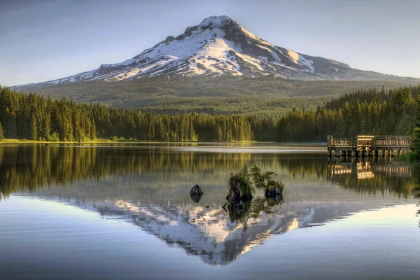 Mount Hood Reflexão sobre Trillium Lake — Fotografia de Stock