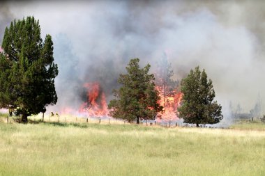 Lightning Strike Fire on Farmland clipart