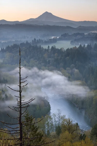 Mount Hood e Sandy River all'alba — Foto Stock