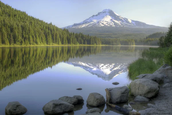 Mount Hood Reflexión sobre el lago Trillium —  Fotos de Stock