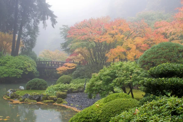 Sisli sabah gölet tarafından Japon bahçesi — Stok fotoğraf