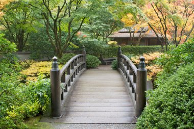 Japon bahçe ahşap yaya köprüsü