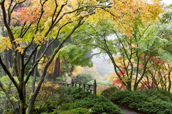 Maple Tree Canopy japonês pela ponte — Fotografia de Stock