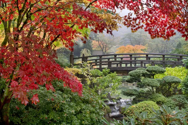 Árvores de bordo japonesas pela ponte no outono — Fotografia de Stock