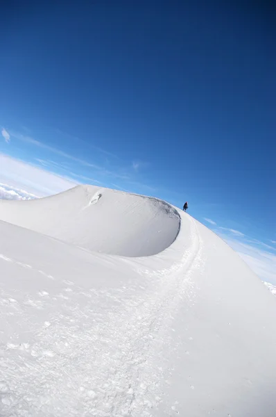 Alpinisten op de bergkam Rechtenvrije Stockfoto's