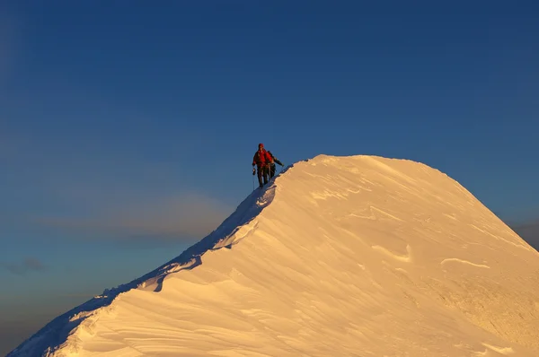 능선에 alpinists 스톡 사진