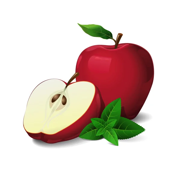 Τα μήλα με τα φύλλα της μέντας — Διανυσματικό Αρχείο