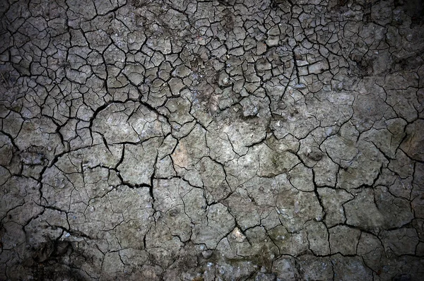 stock image Cracked soil