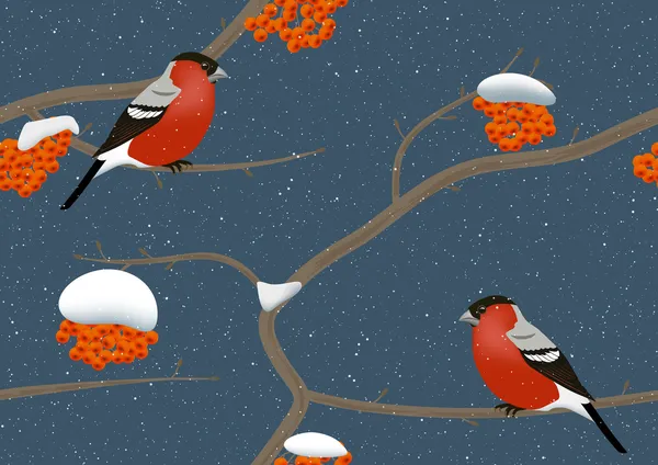 Bullfinches in de winter — Stockvector