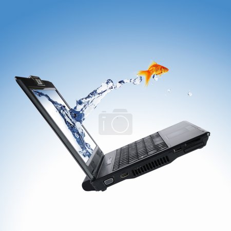 Poisson doré sur l'écran du portable 