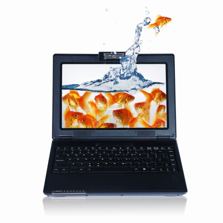Poisson doré sur l'écran du portable 