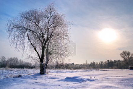 Arbre en rime 