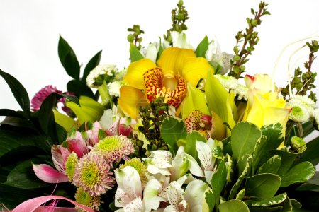 Gros plan du bouquet coloré 