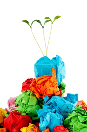 Concept de recyclage du papier avec semis sur blanc 
