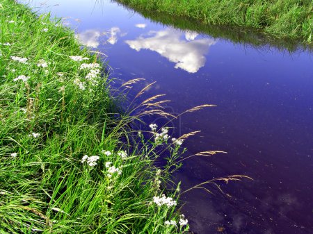 Paysage d'été