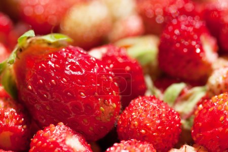 fraises