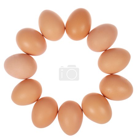 Onze œufs en cercle .