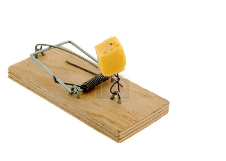 Mousetrap au fromage 