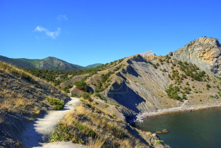 Paysage marin 