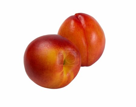 Nectarines