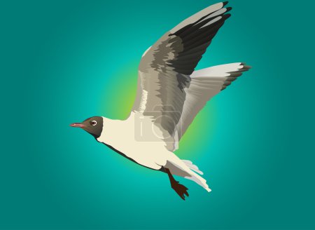 Mouette et ciel bleu illustration 