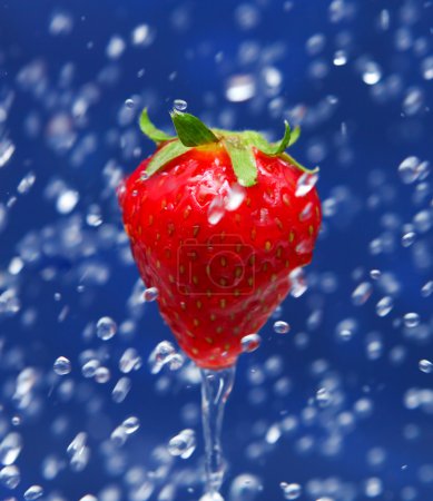 Fraise rouge 