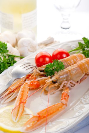 homard nordique 