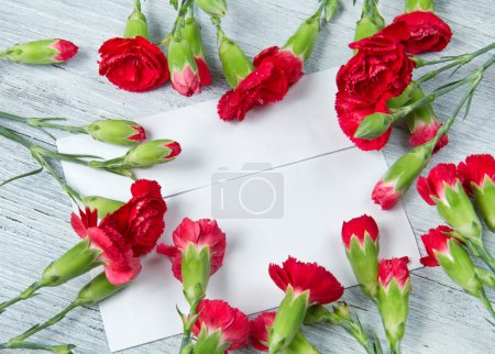 Lettre de printemps 