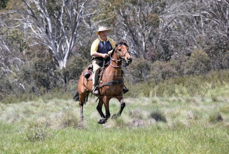 Homme et cheval 
