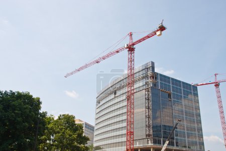 Deux grues rouges au projet de nouvelle construction 
