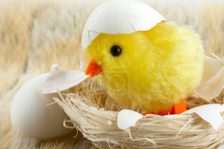 Jouet bébé poulet avec coquille d'oeuf 