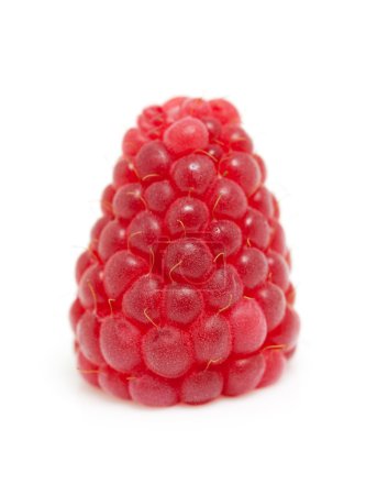 Une framboise en gros plan 
