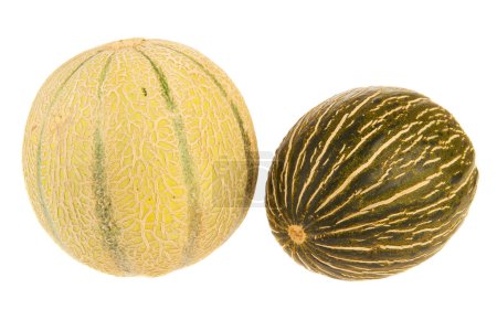 Melons