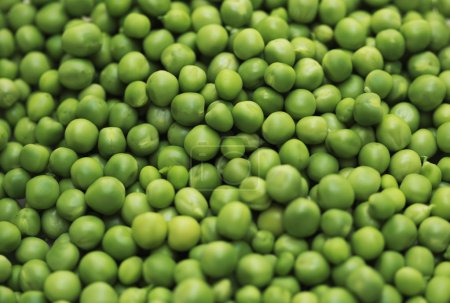pois verts