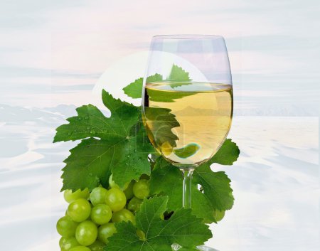 Vin nature morte 