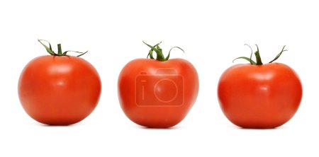 Tomates rouges 