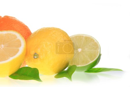 Agrumes frais 