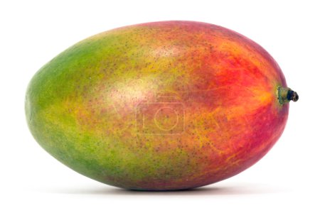 fruits de mangue 