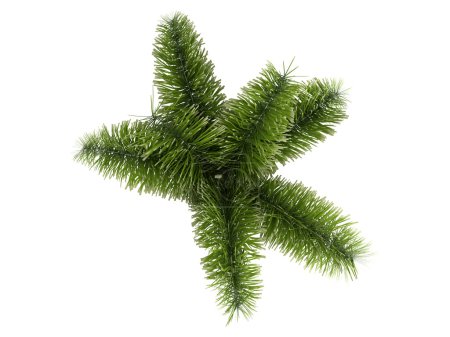 Foxtail Palm ou Wodyetia bifurcata 