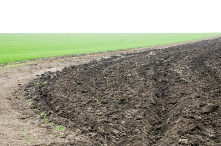 remplissage de dumping